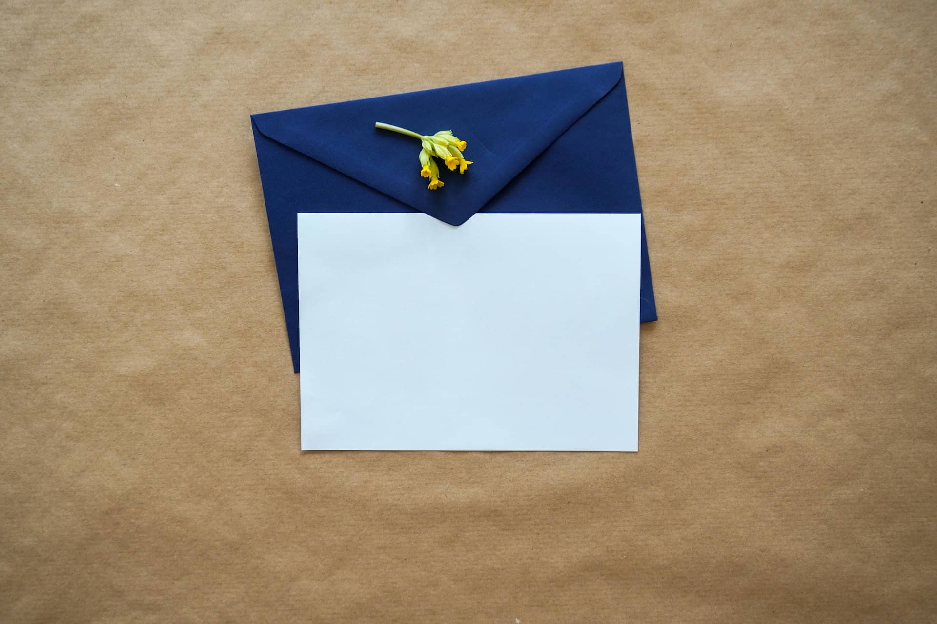 Open Letter – Learning to Connect